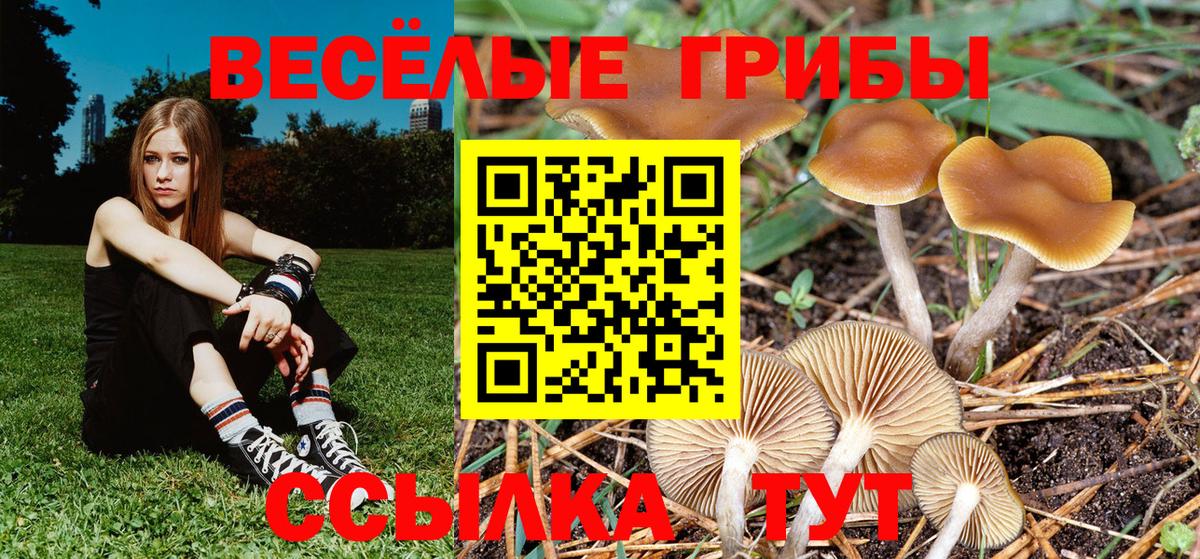 Кокаин  Гашиш  Красногорск  Мефедрон кристаллы  Вход с VPN  Амфетамин   MDMA 
